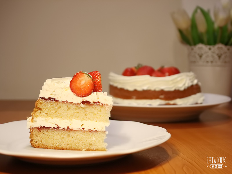 Základní vanilkový korpus