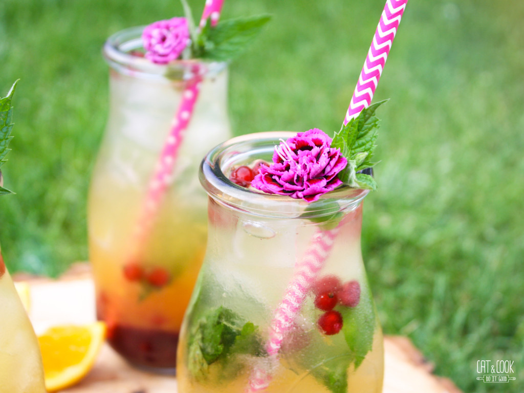Rybízovo – pomerančové mojito