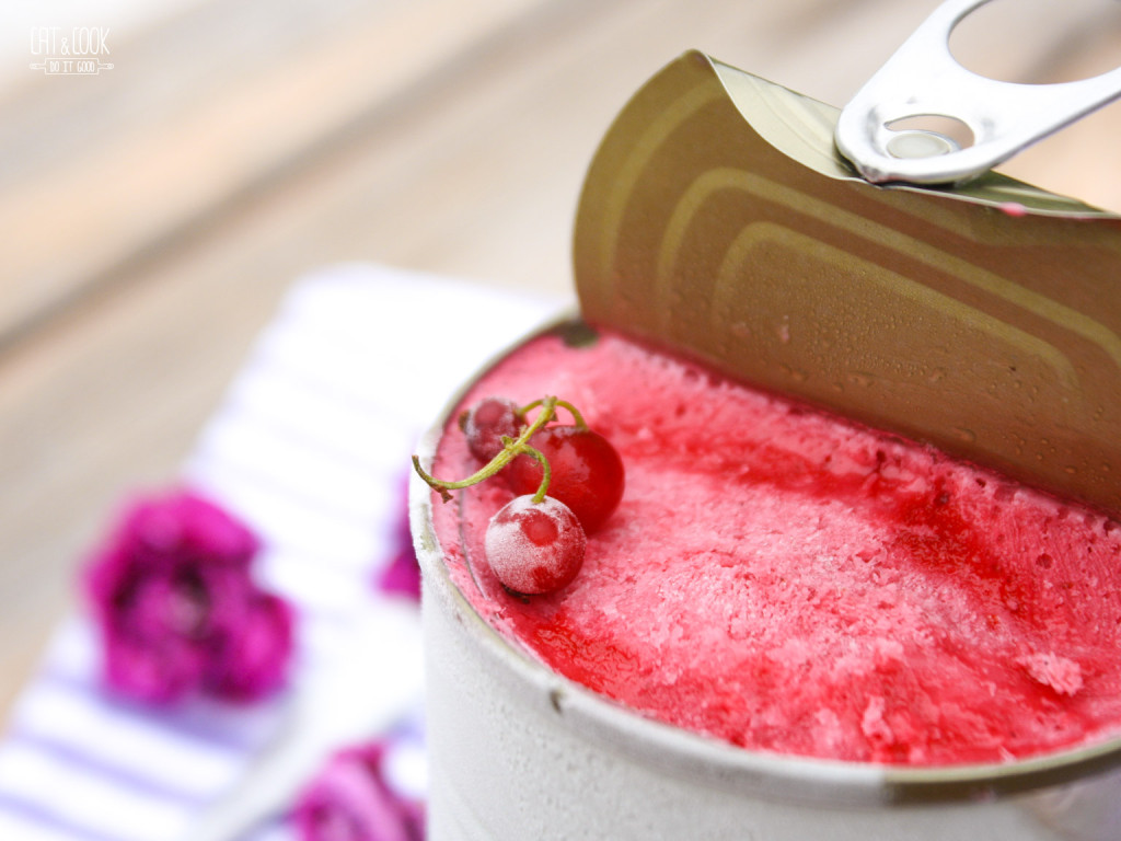 Rybízová zmrzlina z kokosového mléka