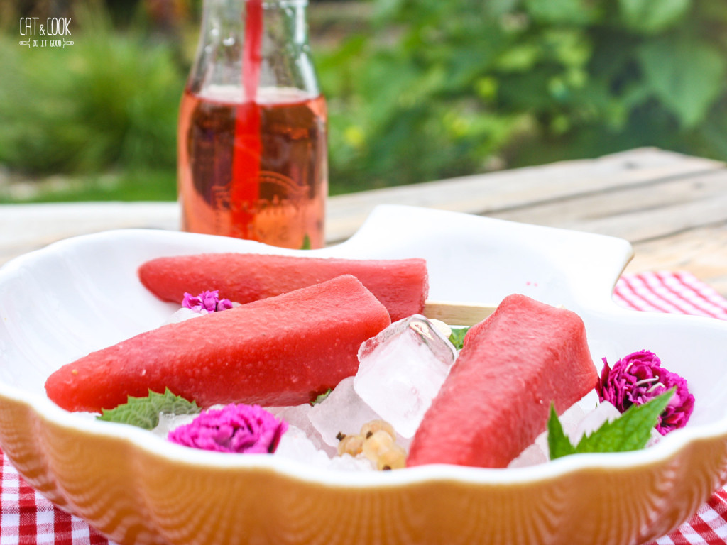 Melounovo – rybízový sorbet