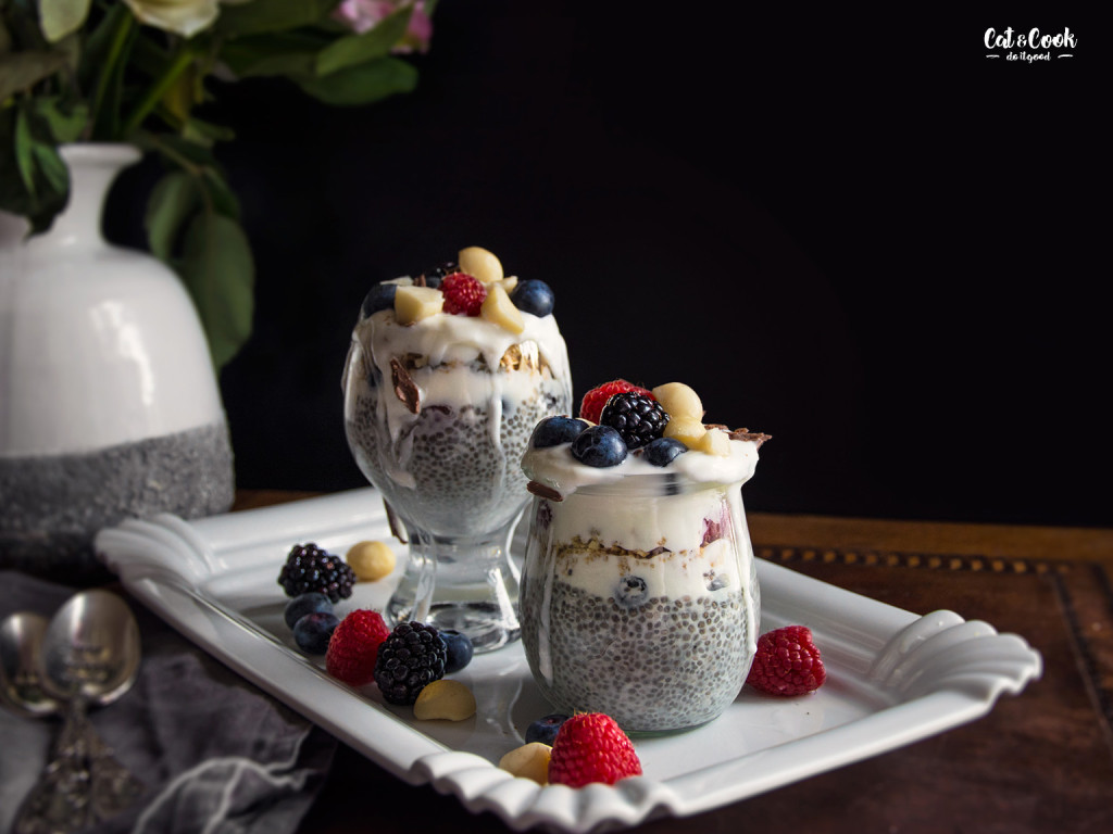 Chia pudink se skyrem a ovocem