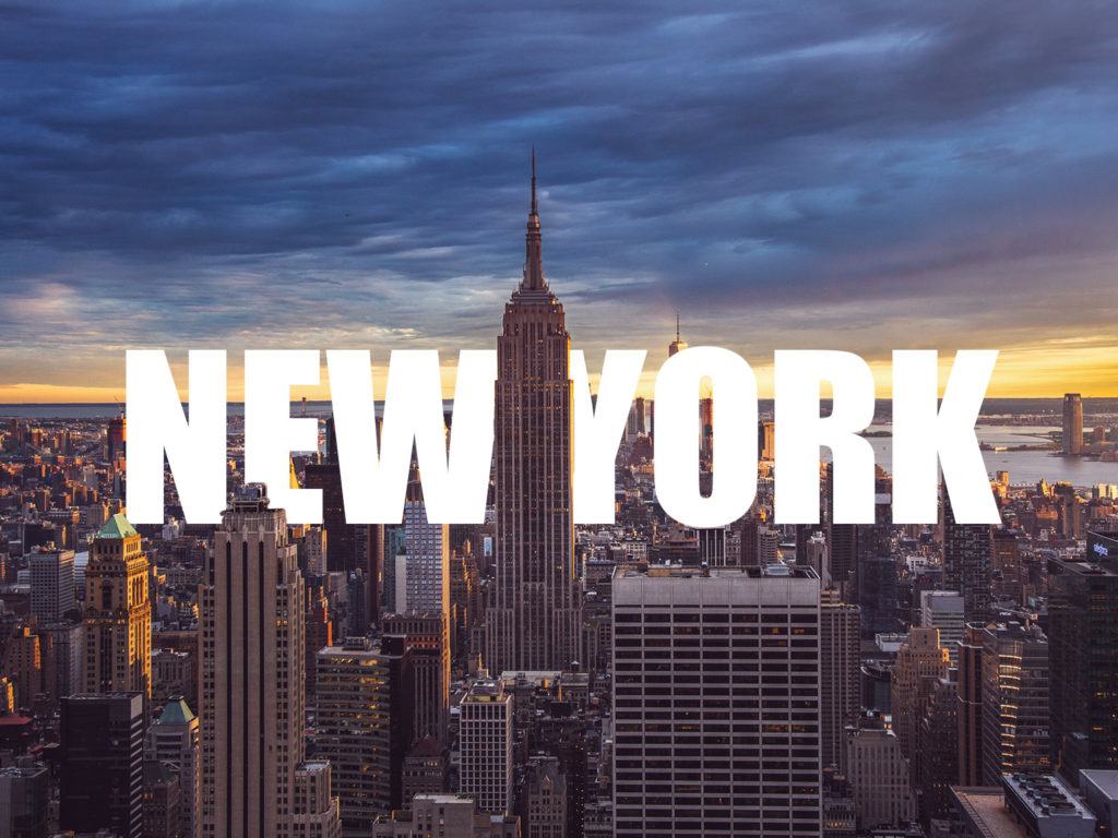 Cat & Cook v New Yorku