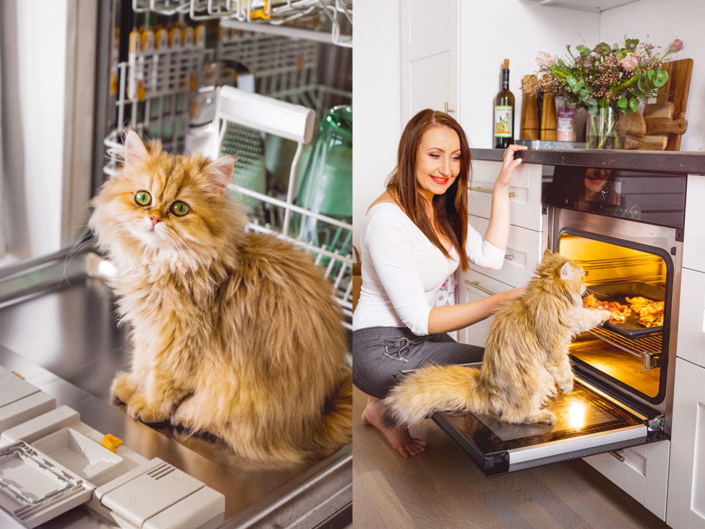 Miele – rok se spotřebiči