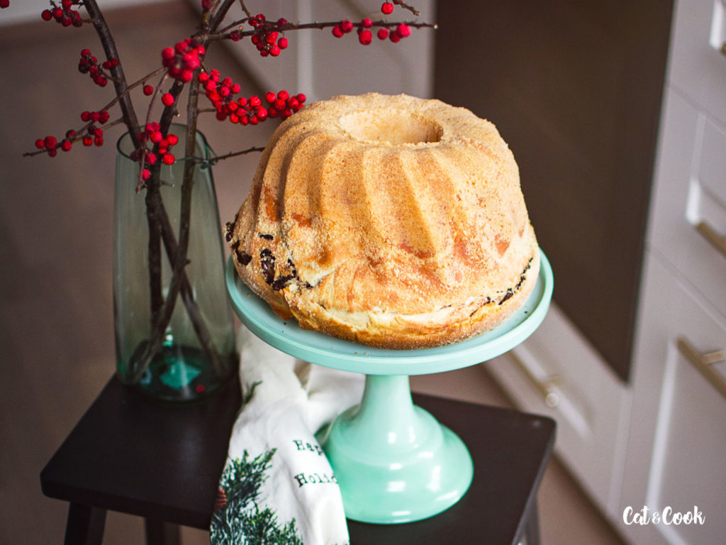 Kynutá bábovka s kakaem