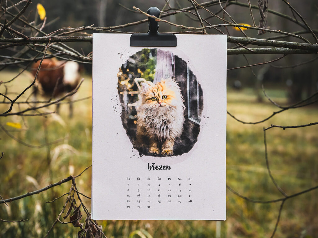 Kalendář na dobrou věc :-)